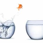 How to Come across the Proper Therapist For You – Dr. Claudia 6, PhD