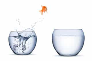How to Come across the Proper Therapist For You – Dr. Claudia 6, PhD