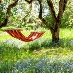 The A lot of Advantages of Kegels