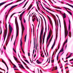 My Lost Vagina — SUSANNAH BRESLIN