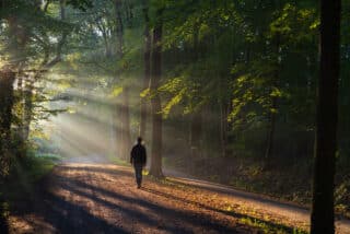 Contacting all the solitary adult males – Dr. Claudia Six, PhD
