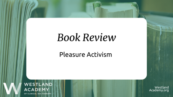 E-book Critique: Satisfaction Activism