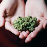 What Investigation Says – Promescent