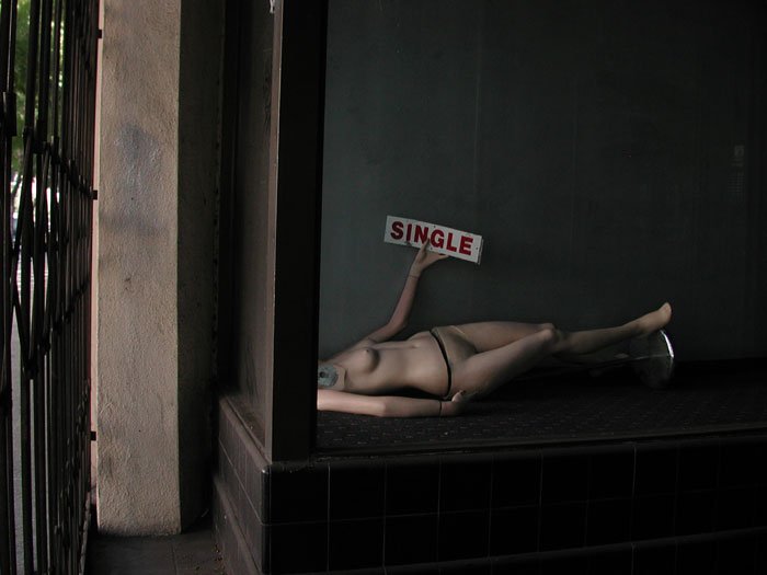 Single Model