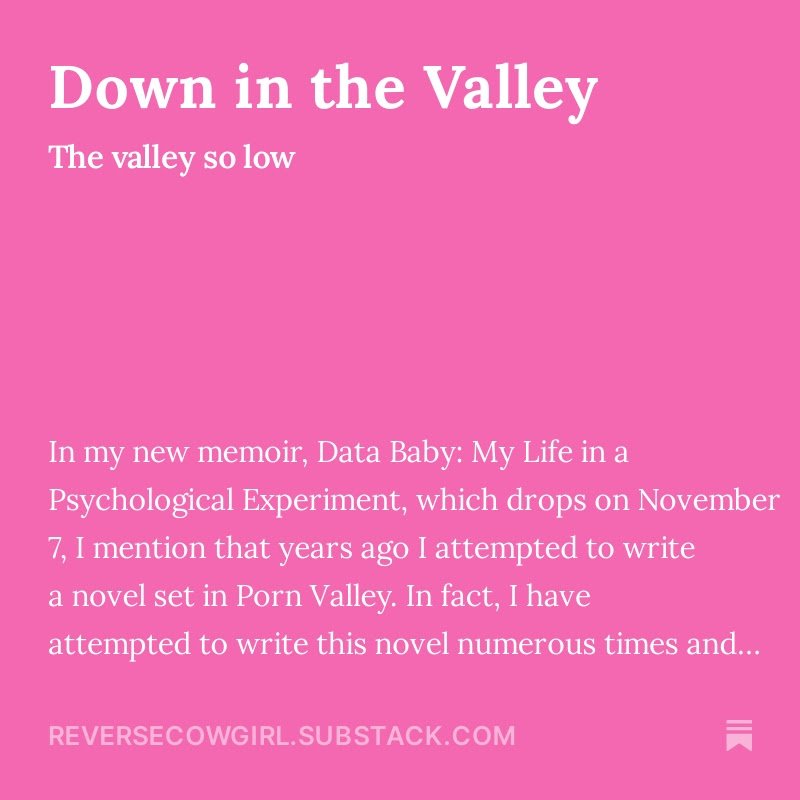 Porn Valley, United states — SUSANNAH BRESLIN